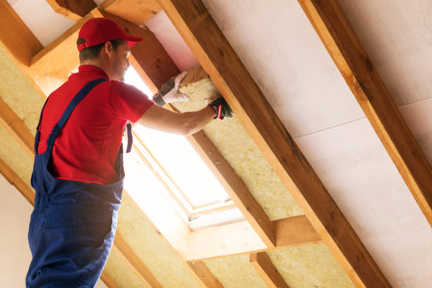 Best Radiant Barrier Insulation  in Goodrich, MI